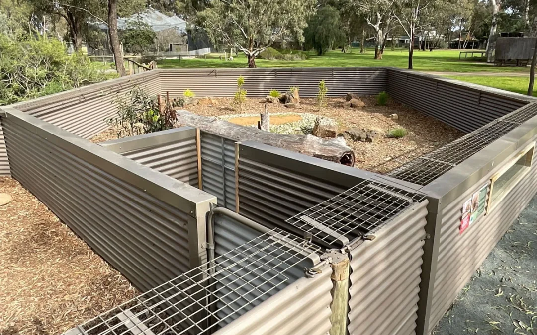 Kyabram Fauna Park Tassie Devil Enclosure