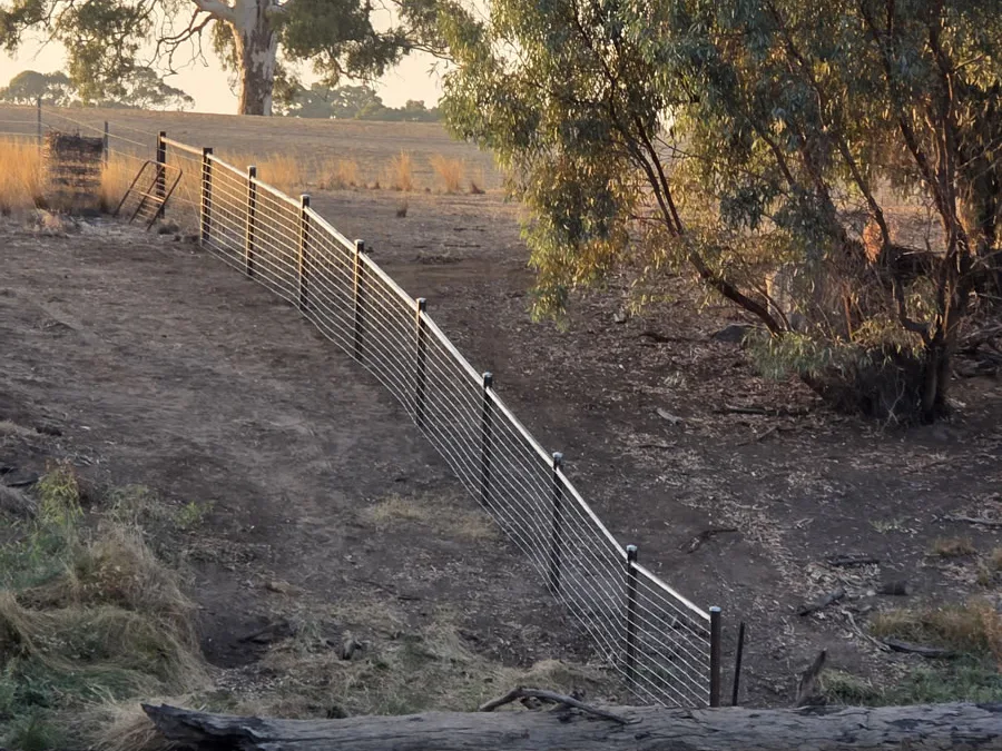 Restoring Murray Waterways