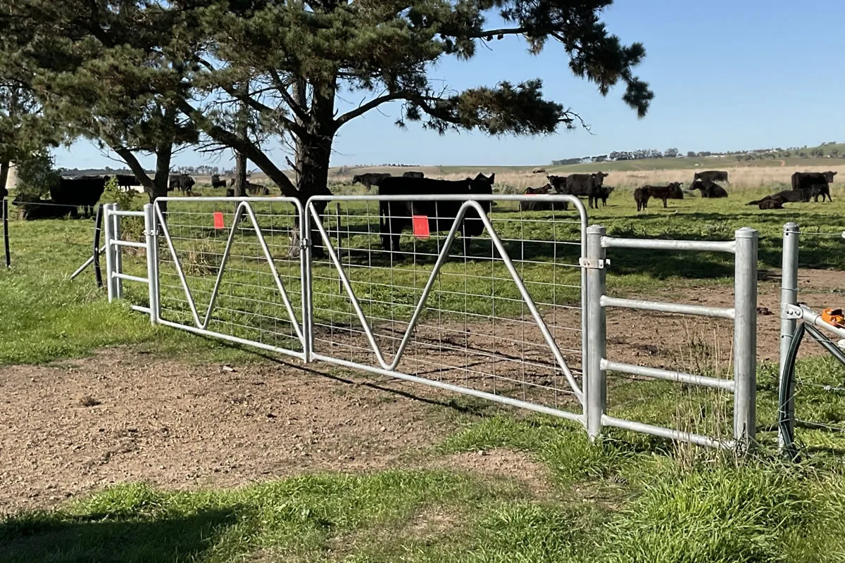 Boundary livestock gates Duncan Equine Fencing